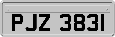 PJZ3831