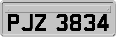PJZ3834