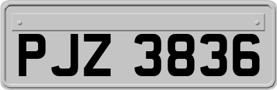 PJZ3836