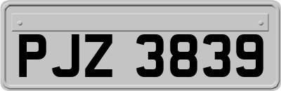 PJZ3839