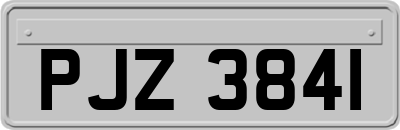 PJZ3841