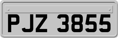 PJZ3855