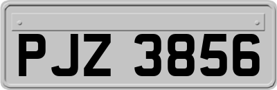 PJZ3856