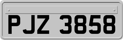 PJZ3858