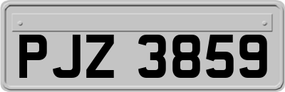 PJZ3859