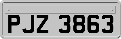 PJZ3863