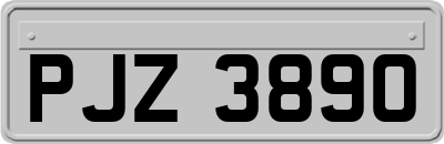 PJZ3890