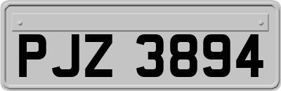 PJZ3894