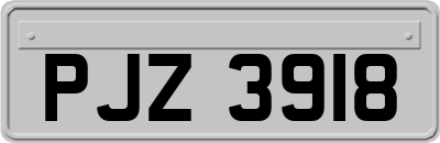 PJZ3918