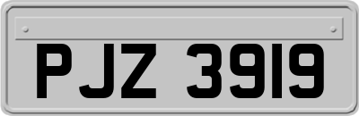 PJZ3919
