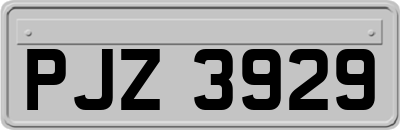 PJZ3929