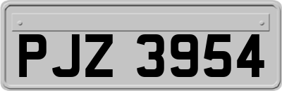 PJZ3954