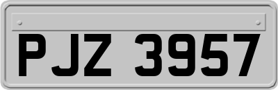 PJZ3957