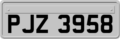 PJZ3958