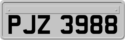PJZ3988