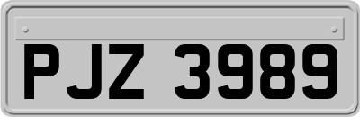 PJZ3989