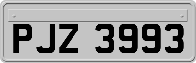 PJZ3993