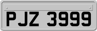 PJZ3999