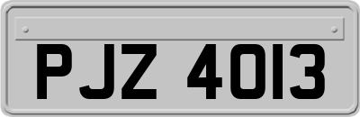 PJZ4013