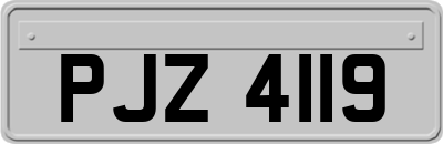 PJZ4119