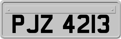 PJZ4213