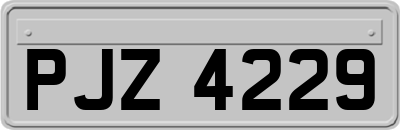 PJZ4229