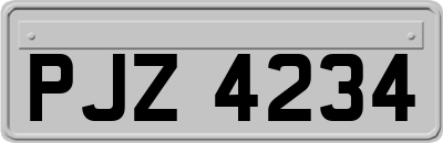 PJZ4234