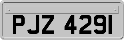 PJZ4291
