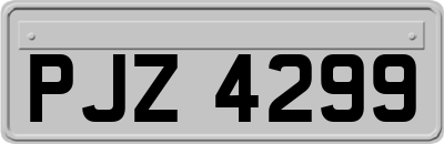 PJZ4299