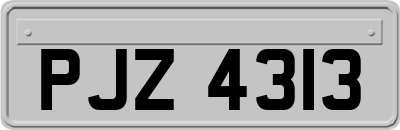 PJZ4313