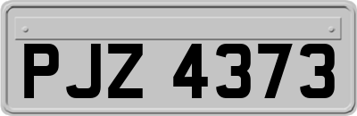 PJZ4373