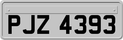PJZ4393