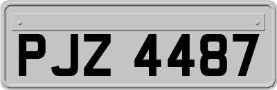 PJZ4487