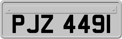 PJZ4491