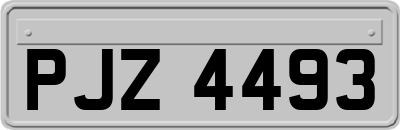PJZ4493
