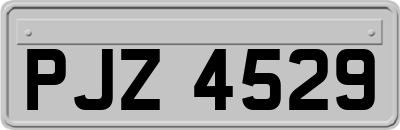 PJZ4529