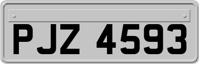 PJZ4593