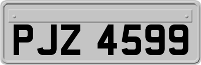 PJZ4599