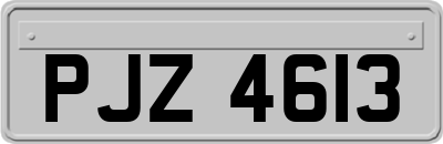 PJZ4613