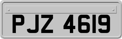 PJZ4619