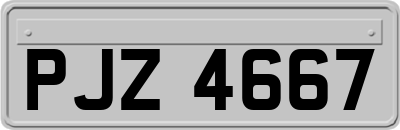 PJZ4667