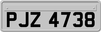 PJZ4738