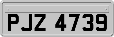 PJZ4739