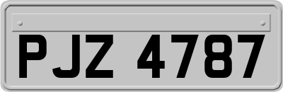 PJZ4787