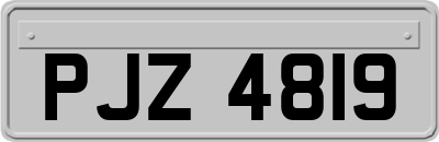 PJZ4819