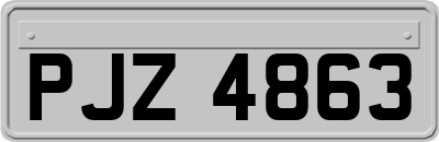 PJZ4863