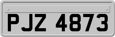 PJZ4873