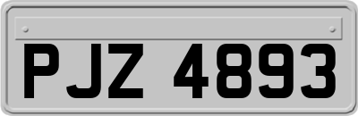 PJZ4893