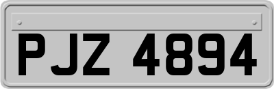 PJZ4894
