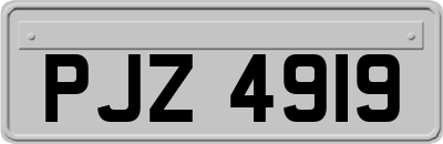 PJZ4919